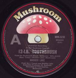 Madder Lake : 12-LB Toothbrush - Country Blues